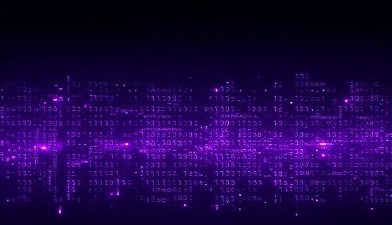 Software Development